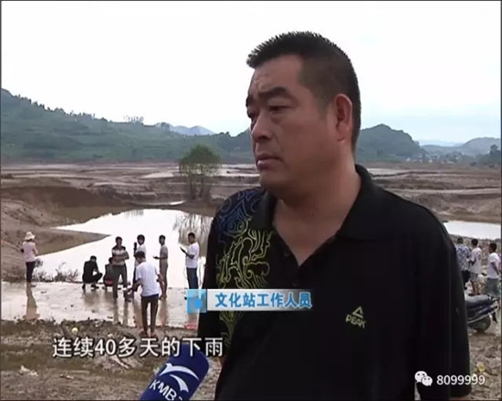 开闸泄洪后罗平一水塘现巨型'水怪' 目击者视频惊动中科院专家