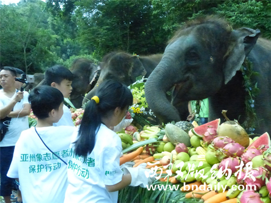 西双版纳举办第二届“世界大象日公益活动” 西双版纳举办第二届“世界大象日公益活动”