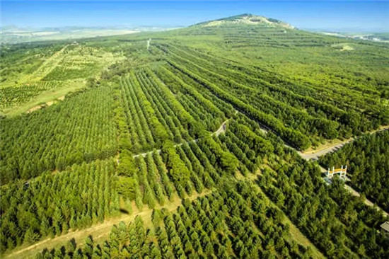 这座塞上小城 为什么得到总书记点赞