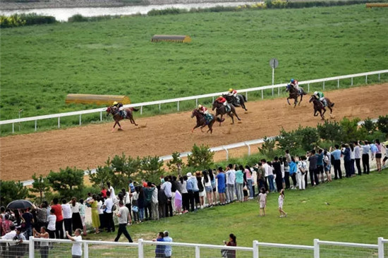 这座塞上小城 为什么得到总书记点赞