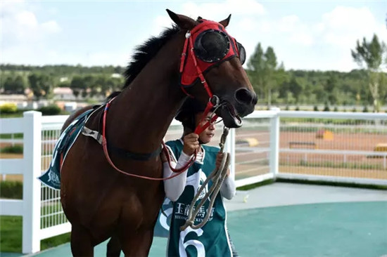 这座塞上小城 为什么得到总书记点赞