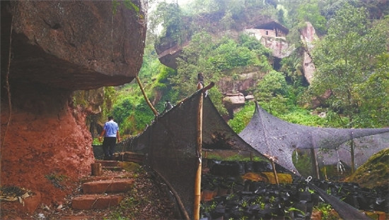 夹江明代摩崖造像10颗佛头被盗 警方已介入