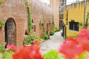 建水紫陶的创新与变革