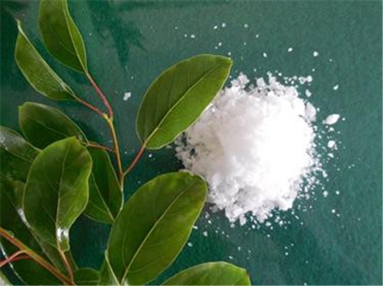 怪事有因：海昏侯墓中的千年奇香从何而来