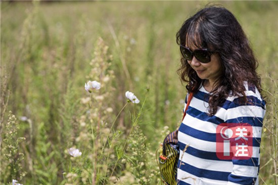 9月初赏桂正当时 昆明9月赏花攻略拿走不谢 9月初赏桂正当时 昆明9月赏花攻略拿走不谢