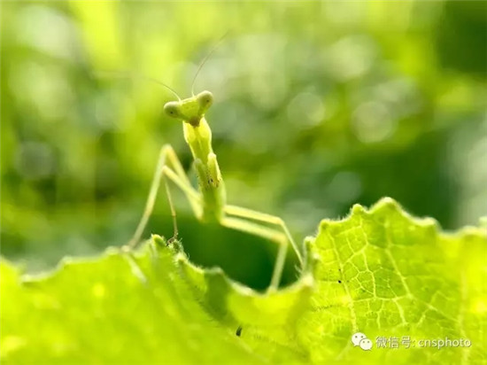 “改革在身边”手机摄影大赛第二期周奖揭晓 “改革在身边”手机摄影大赛第二期周奖揭晓