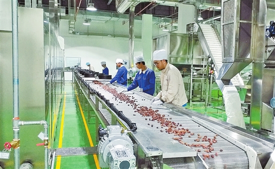 云南能投集团五年发展资产过千亿 位列中国企业500强第250位 云南能投集团五年发展资产过千亿 位列中国企业500强第250位