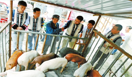 云南能投集团五年发展资产过千亿 位列中国企业500强第250位 云南能投集团五年发展资产过千亿 位列中国企业500强第250位