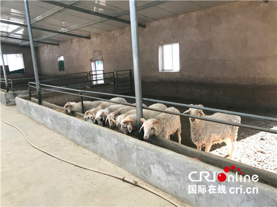 马达五德的养殖场 马达五德的养殖场