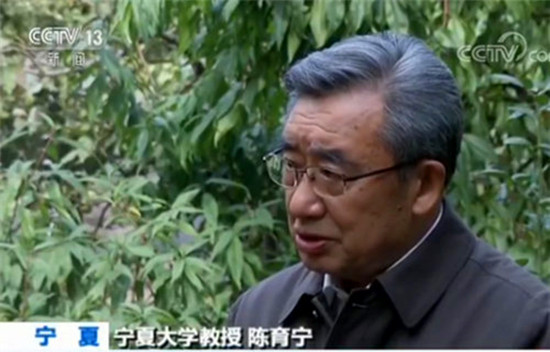 宁夏大学教授陈育宁