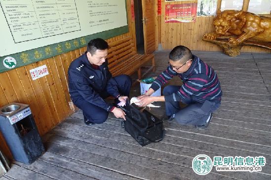 加大爱鸥护鸥宣传 加大爱鸥护鸥宣传