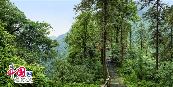 2017峨眉山国际登山节 乐山市民免费耍