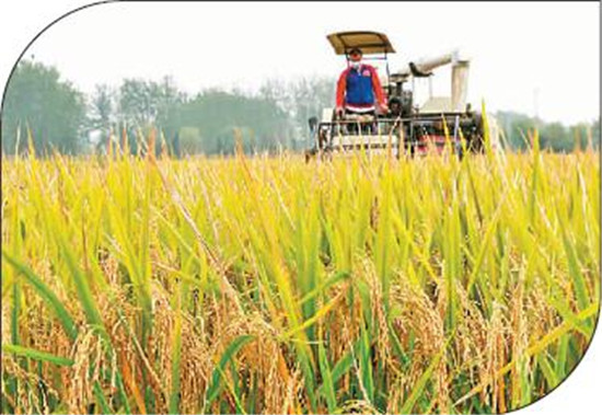 代表热议“中国特色社会主义进入新时代” 代表热议“中国特色社会主义进入新时代”