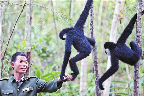 建设美丽云南共享生态文明 建设美丽云南共享生态文明