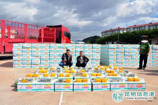 楚雄市警方破获历年最大毒品案 从56吨香蕉中缴获毒品65公斤