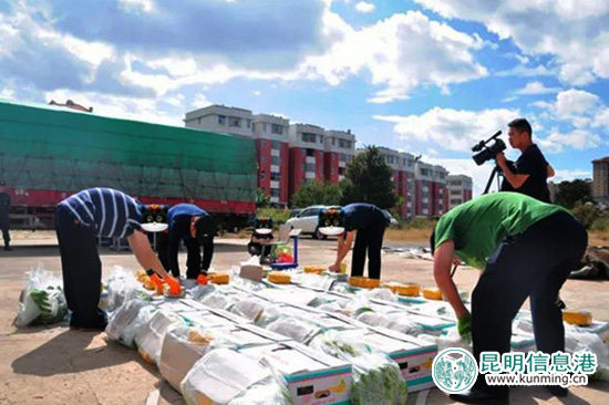 楚雄市警方破获历年最大毒品案 从56吨香蕉中缴获毒品65公斤