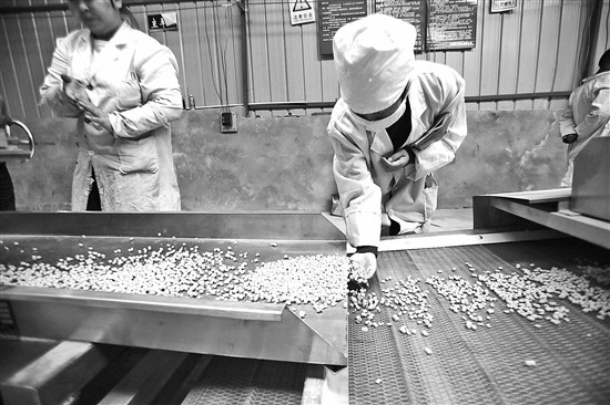 记者探访鸥粮制作:新型鸥粮不沉水更具营养 记者探访鸥粮制作:新型鸥粮不沉水更具营养