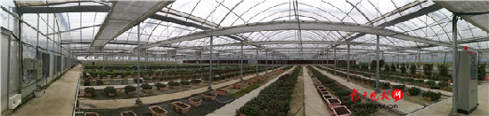 【领航新征程】不用“望天收”,这里的农业生产“望网收” 【领航新征程】不用“望天收”,这里的农业生产“望网收”