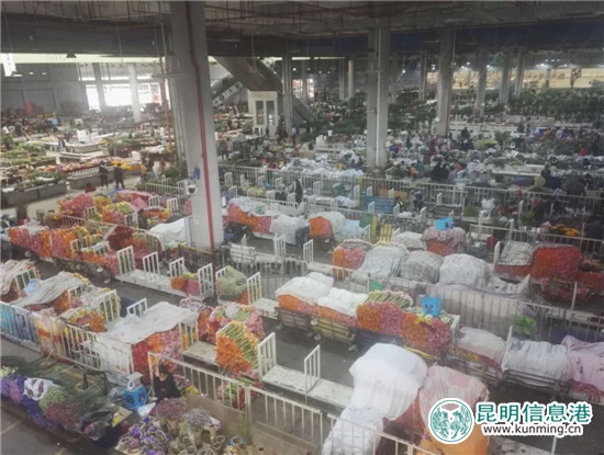 昆明推进高原特色都市现代农业发展 着力打造农业产业六大中心