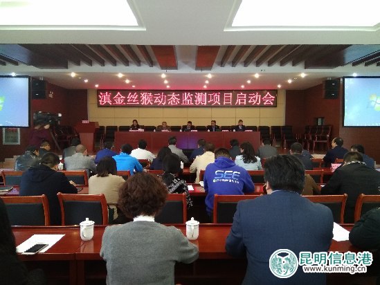 滇金丝猴动态监测项目启动会现场 滇金丝猴动态监测项目启动会现场