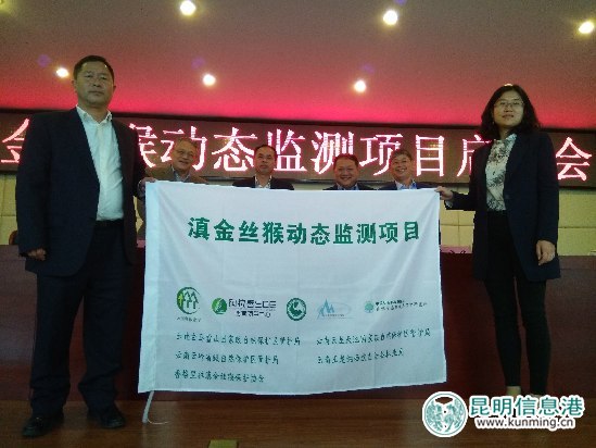 滇金丝猴动态监测项目启动会现场 滇金丝猴动态监测项目启动会现场