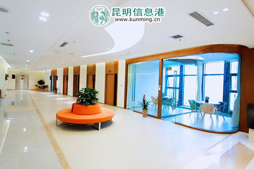 云南省互联网大会首设医疗保障点 菲悦健康体检中心护航盛会 云南省互联网大会首设医疗保障点 菲悦健康体检中心护航盛会