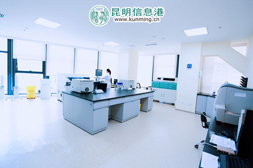 云南省互联网大会首设医疗保障点 菲悦健康体检中心护航盛会 云南省互联网大会首设医疗保障点 菲悦健康体检中心护航盛会