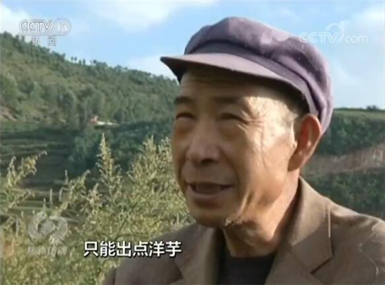 东川李子沟村立足“开花洋芋”优势精准扶贫 引起央视焦点访谈关注