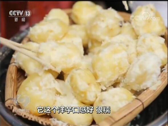 东川李子沟村立足“开花洋芋”优势精准扶贫 引起央视焦点访谈关注