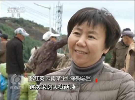 东川李子沟村立足“开花洋芋”优势精准扶贫 引起央视焦点访谈关注