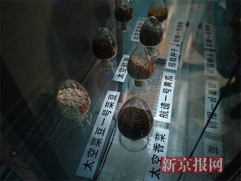 太空种子。 太空种子。