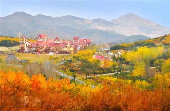 青岛这些乡村小镇带你领略初冬的极致美 青岛这些乡村小镇带你领略初冬的极致美