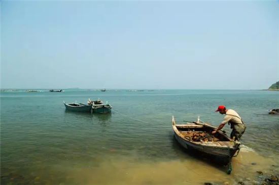 青岛这些乡村小镇带你领略初冬的极致美 青岛这些乡村小镇带你领略初冬的极致美