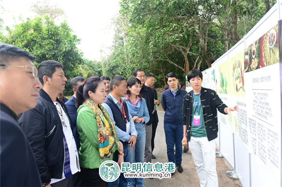 “探秘雨林野生食用植物”科普展亮相第三届云南名特小吃节