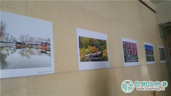 五华区2017年廉洁文化宣传月主题摄影比赛评选结果揭晓 58幅（组）作品获奖