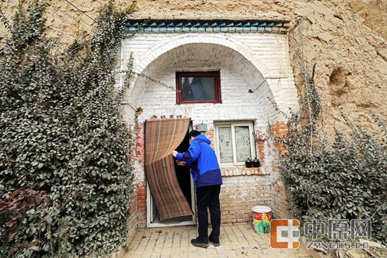 第一书记讲好故事④|大槐树下的第一书记 第一书记讲好故事④|大槐树下的第一书记