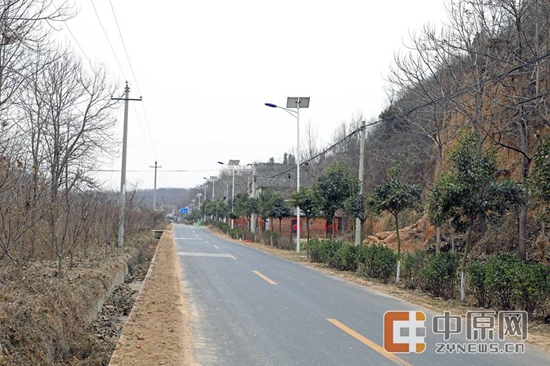 第一书记讲好故事④|大槐树下的第一书记 第一书记讲好故事④|大槐树下的第一书记