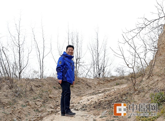 第一书记讲好故事④|大槐树下的第一书记 第一书记讲好故事④|大槐树下的第一书记