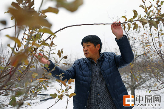 第一书记讲好故事⑤|带着深情留任的第一书记 第一书记讲好故事⑤|带着深情留任的第一书记