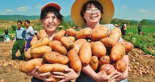 “农民教授”朱有勇让这个贫困小村庄有了大批“博士后” “农民教授”朱有勇让这个贫困小村庄有了大批“博士后”