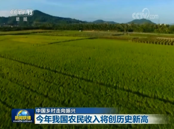 【中国乡村走向振兴】今年我国农民收入将创历史新高