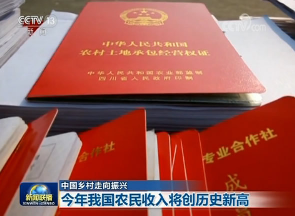 【中国乡村走向振兴】今年我国农民收入将创历史新高