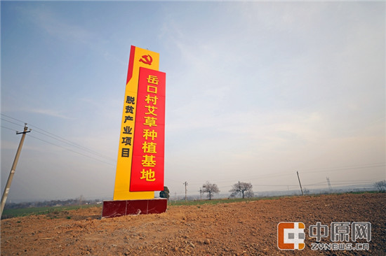 这一片土地,孕育着岳口村的无数希望 这一片土地,孕育着岳口村的无数希望