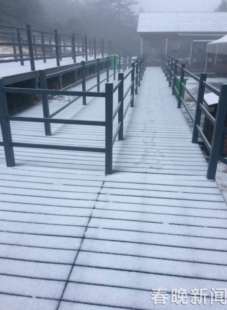 轿子山迎来新年首场雪 轿子山迎来新年首场雪