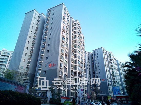 慢哉实景 慢哉实景