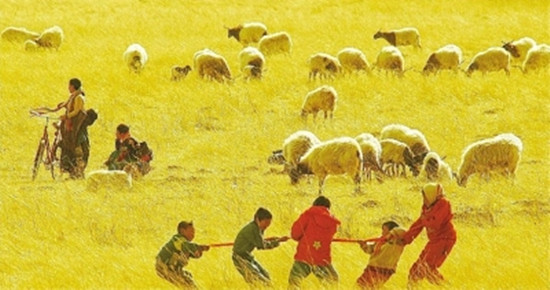 甘南草原上,几位放羊的小朋友在比赛拔河。光明图片 甘南草原上,几位放羊的小朋友在比赛拔河。光明图片