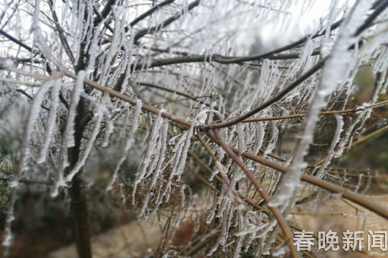 登昆明长虫山 遇见诗情画意的雾凇 登昆明长虫山 遇见诗情画意的雾凇