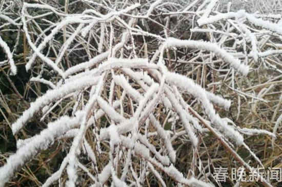 登昆明长虫山 遇见诗情画意的雾凇 登昆明长虫山 遇见诗情画意的雾凇