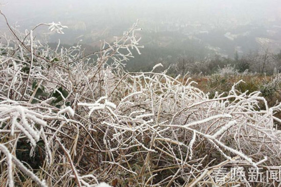 登昆明长虫山 遇见诗情画意的雾凇 登昆明长虫山 遇见诗情画意的雾凇