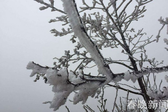 登昆明长虫山 遇见诗情画意的雾凇 登昆明长虫山 遇见诗情画意的雾凇